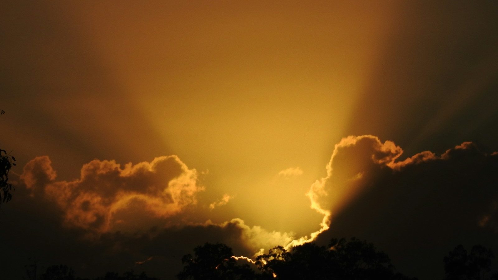Photo by Sharon Co Images yellow and white cloud at sunset